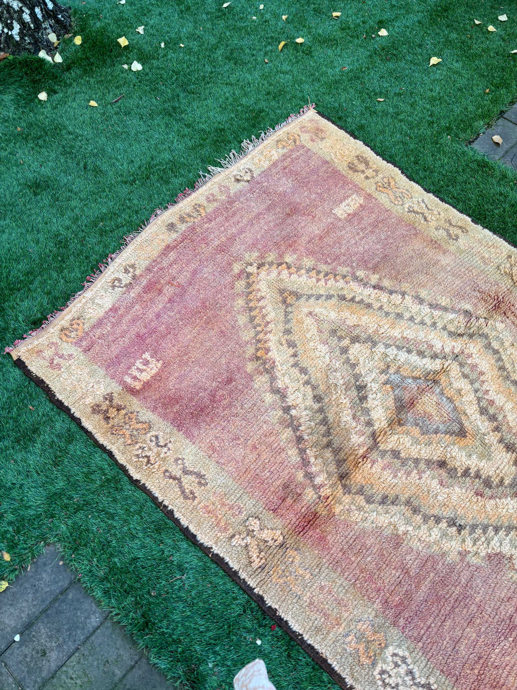 NEVE | Vintage Runner