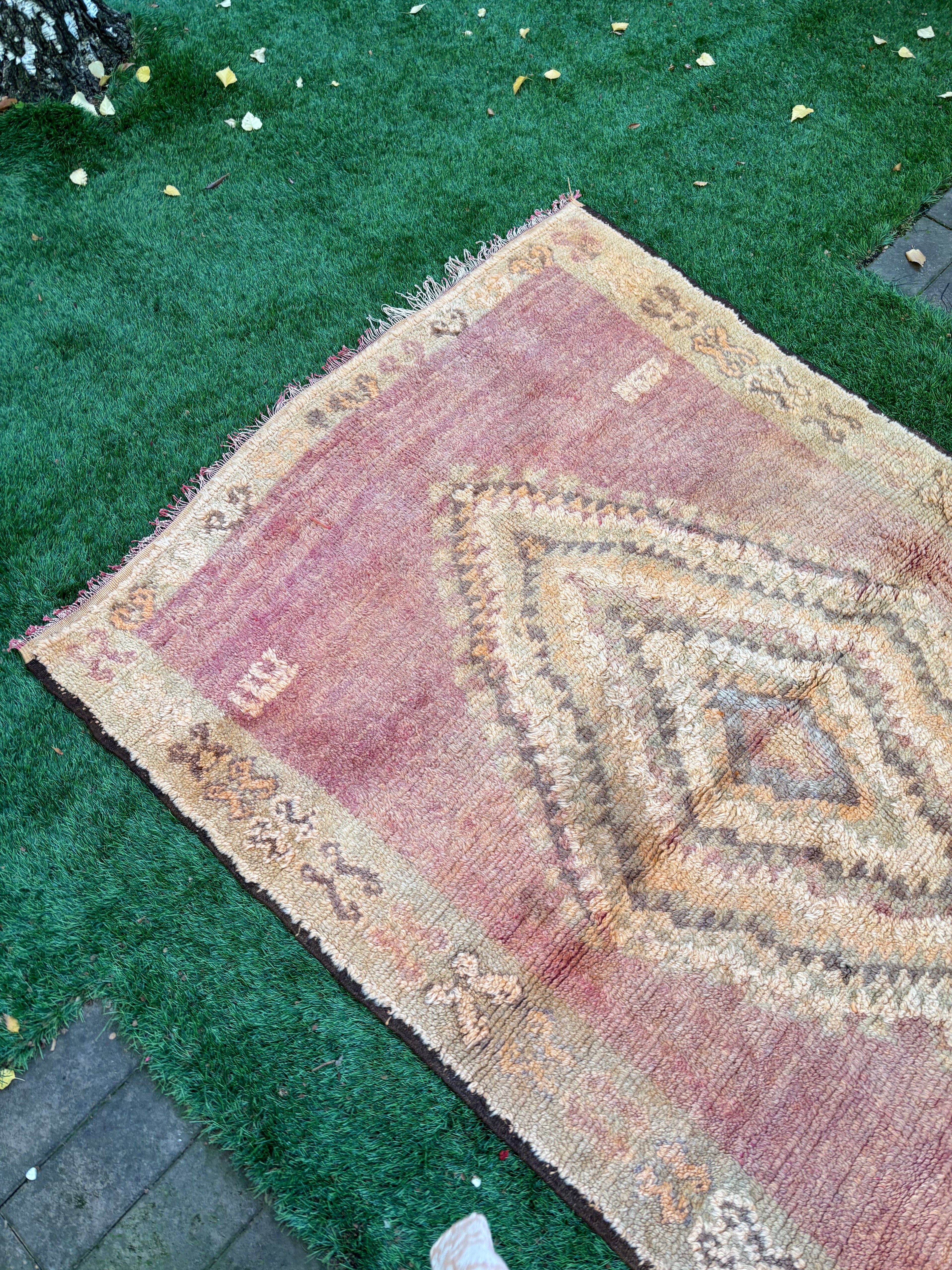 NEVE | Vintage Runner